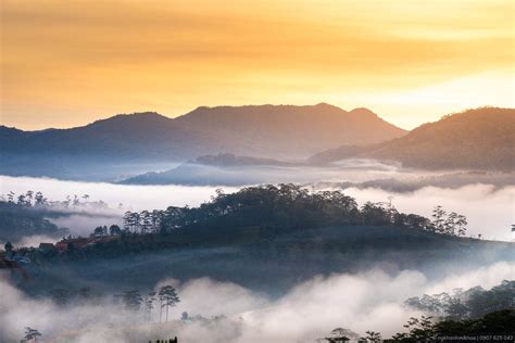  Morning Dew Lắng Đọng như Sương Mai và Mở Ra Bầu Trời Hồn Vang